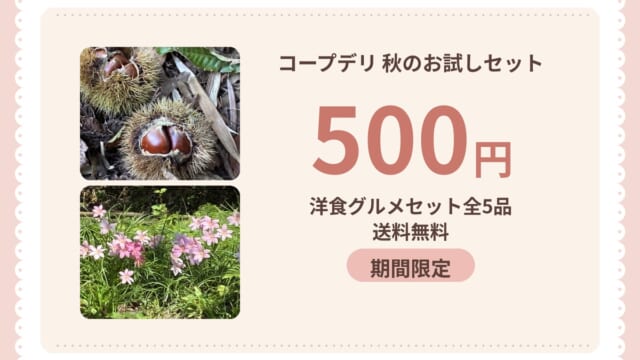 コープデリ秋のお試しセット500円 洋食グルメセット全5品・送料無料 期間限定
